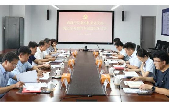 威海產(chǎn)投集團黨委組織召開黨史學習教育專題組織生活會